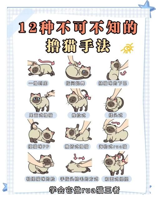 小野猫N上最新怎么玩简单？实用技巧轻松上手教程！