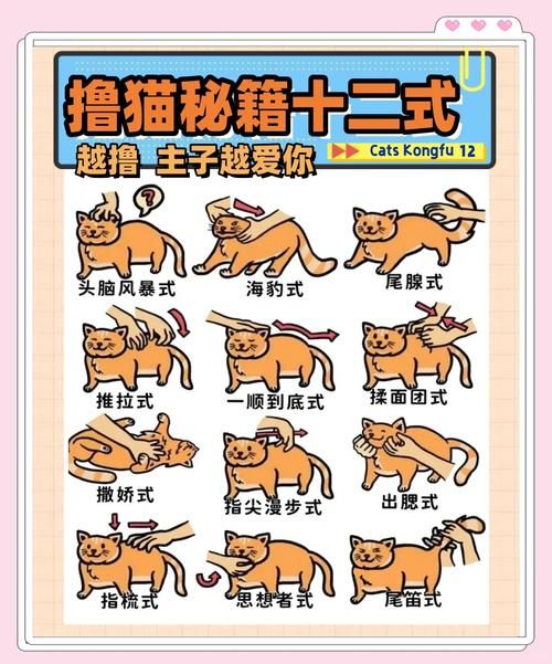 小野猫N上最新怎么玩简单？实用技巧轻松上手教程！