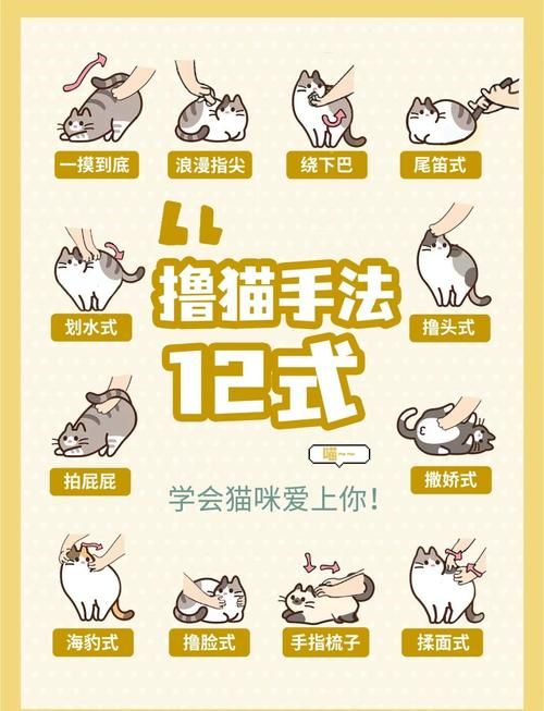 小野猫N上最新怎么玩简单？实用技巧轻松上手教程！