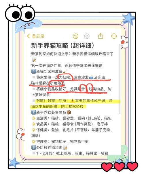 小野猫N上最新怎么玩简单？实用技巧轻松上手教程！