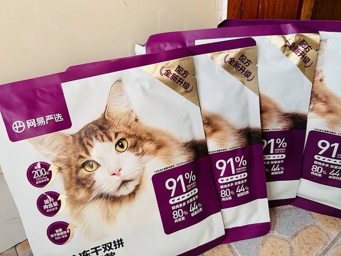 小野猫N上最新版本值不值得更新？实测对比优缺点！