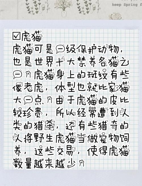 小野猫N上版本大全更新了啥？最新内容速查盘点推荐！