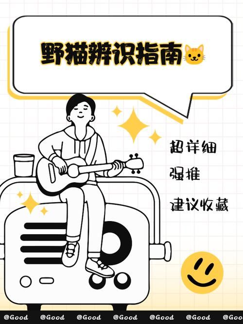 小野猫N版下载安全吗？官方正版获取通道揭秘