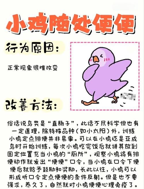小鸡游戏更新地址怎么找？手把手教你快速定位不迷路！