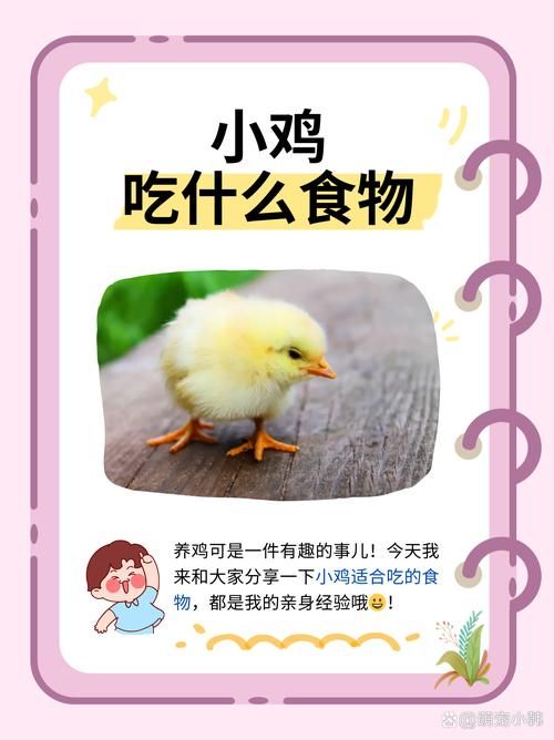 小鸡游戏汉化版更新了什么功能？全新乐趣抢先体验！