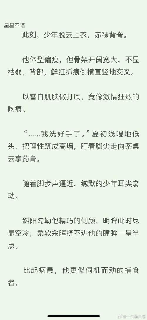 少年阿宾小说官网怎么免费看？三招教你解锁全部章节