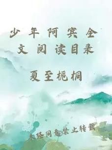 少年阿宾汉化版下载安全吗？专家分享避坑技巧！