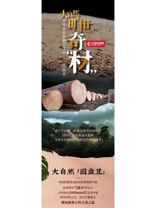 嵌入核心词乡下生活下载安卓自然变形（如安卓版/下载安装）