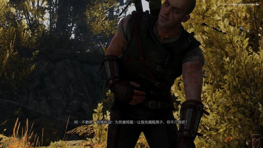 巫师3魔改汉化版下载方法难？手把手教你轻松获取