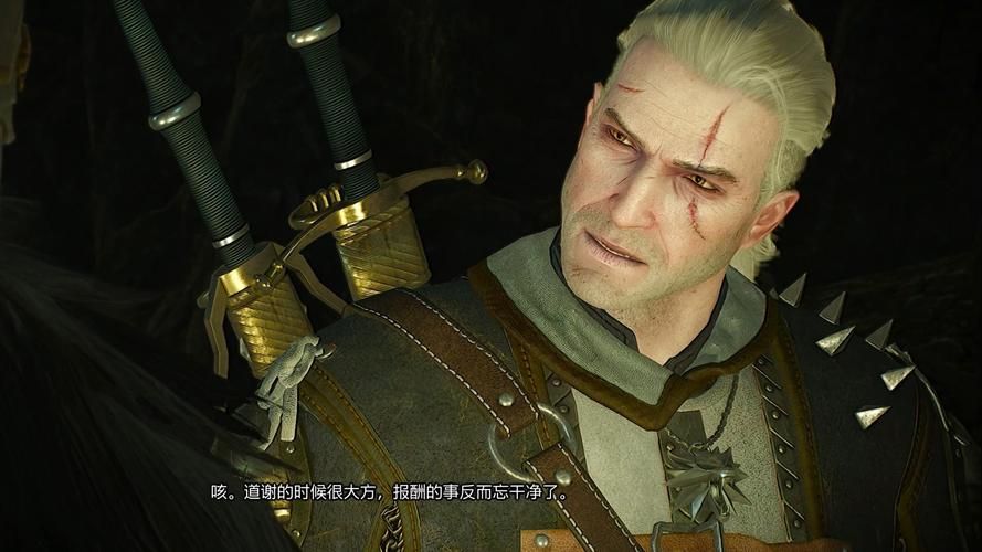 巫师3魔改绅士游戏体验报告：实际效果与风险解析