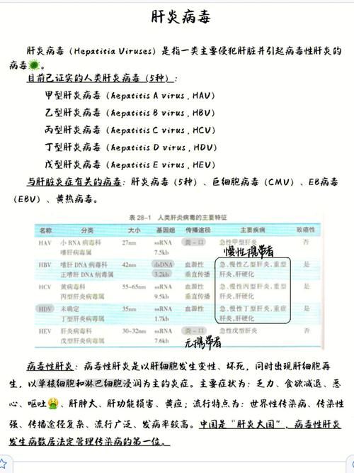平安亭5部下载安卓安全吗？(避开病毒的小妙招分享)