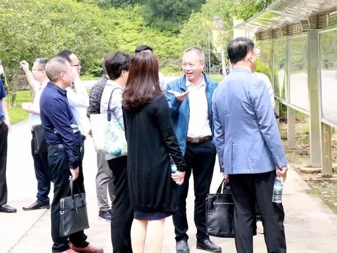 幸福家庭最新版本是多少？官方渠道对比大公开！