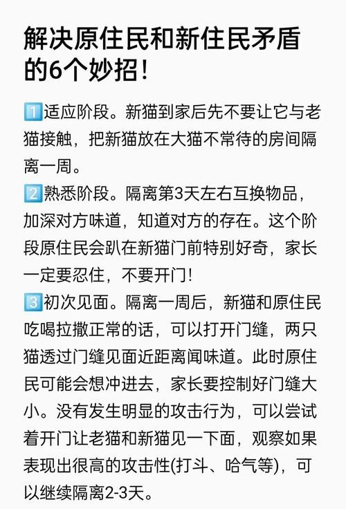 幸福的二人房更新地址问题解决？常见错误应对方法指南！