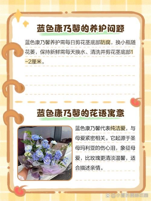 康乃馨俱乐部官方网站常见问题解答？实用技巧帮你一次搞定！