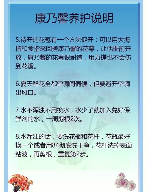 康乃馨俱乐部官方网站常见问题解答？实用技巧帮你一次搞定！