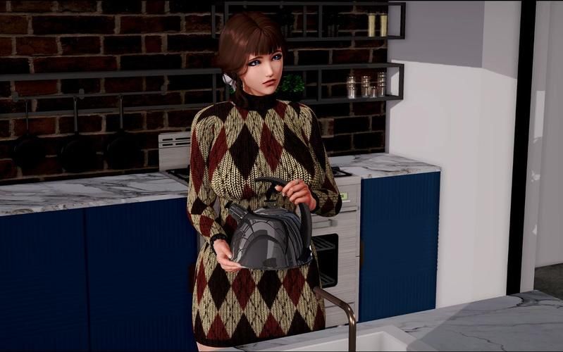 康乃馨俱乐部汉化版下载哪个好？2024最新资源推荐