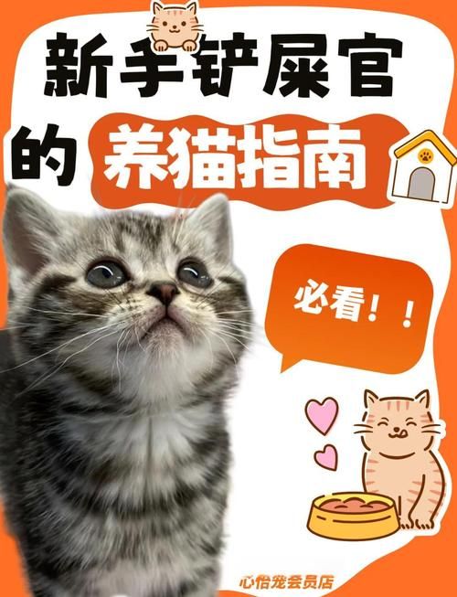 当你的猫咪下载地址安装教程指南(新手五分钟轻松搞定) 当你的猫咪下载地址安装教程指南(新手五分钟轻松搞定)