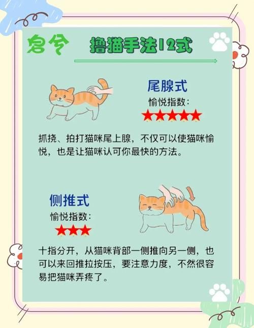 当你的猫咪下载地址安装教程指南(新手五分钟轻松搞定) 当你的猫咪下载地址安装教程指南(新手五分钟轻松搞定)