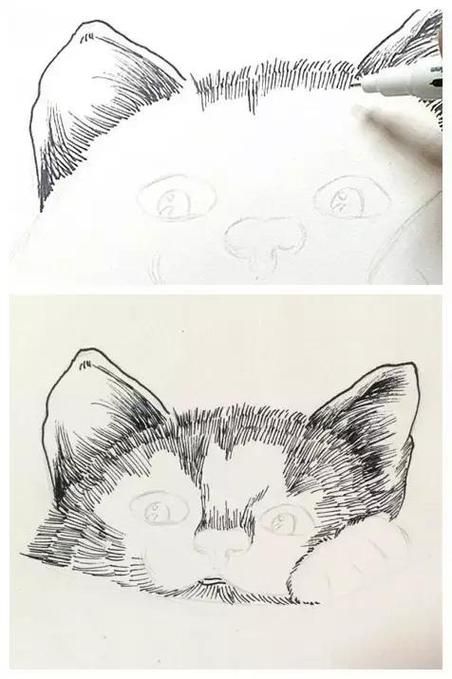 当你的猫咪在哪下载怎么安装？完整教程一步步教你搞定！