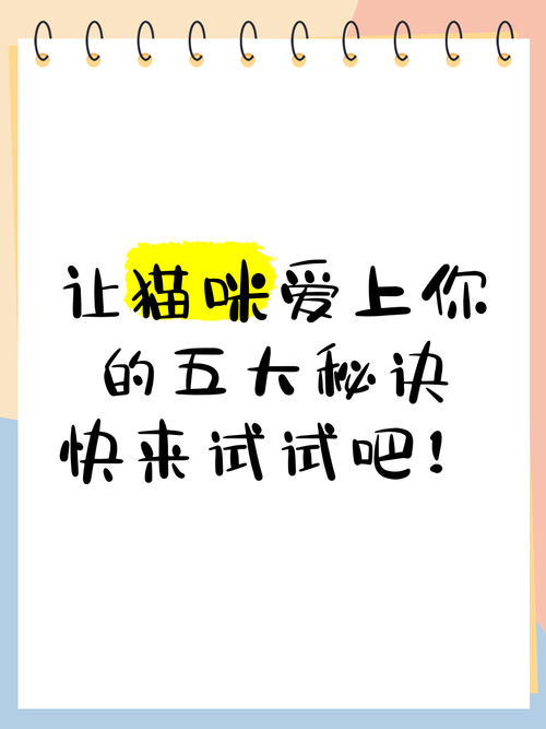 当你的猫咪如何下载效果差？五个小技巧提升下载速度快