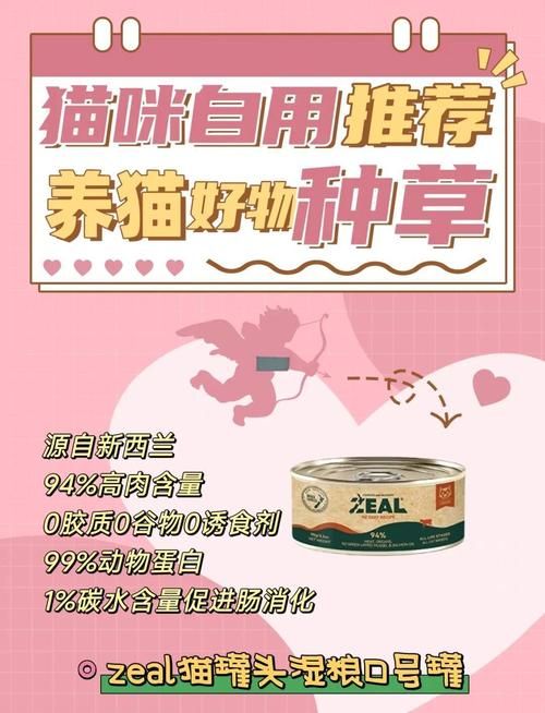 当你的猫咪安卓免费吗？亲测五款实用工具推荐