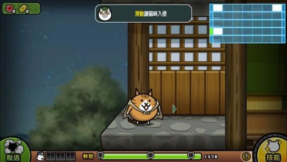 当你的猫咪安卓版汉化好玩吗?与原版对比体验全解析 当你的猫咪安卓版汉化好玩吗?与原版对比体验全解析