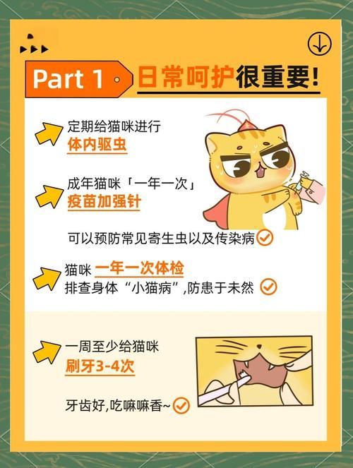 当你的猫咪官网优化技巧？三个秘诀提升网站排名！