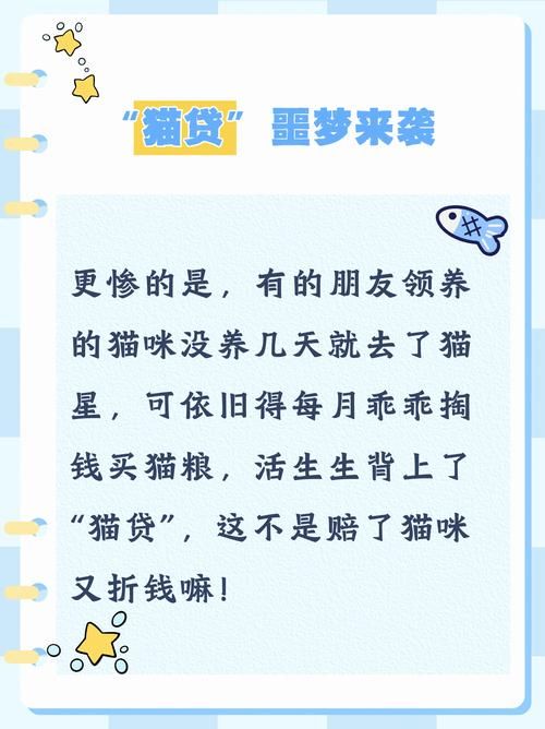 当你的猫咪最新版本是多少？(新功能揭秘一网打尽！)