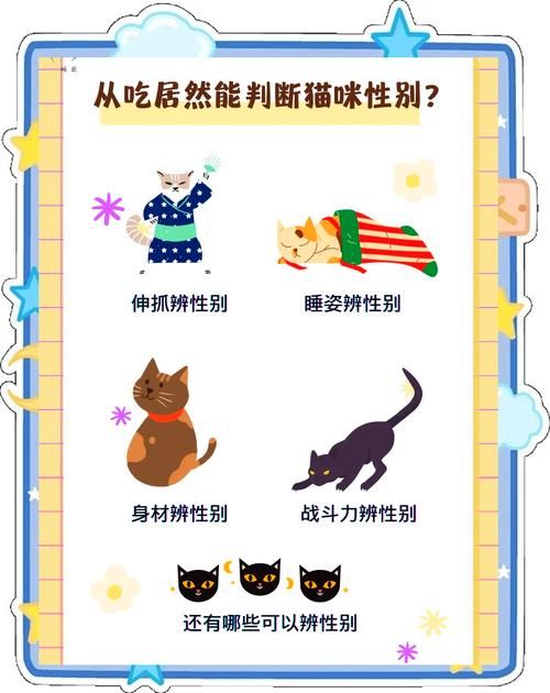 当你的猫咪最新版本有什么技巧？掌握这8招玩法更轻松！