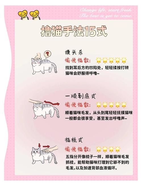 当你的猫咪最新版本有什么技巧？掌握这8招玩法更轻松！