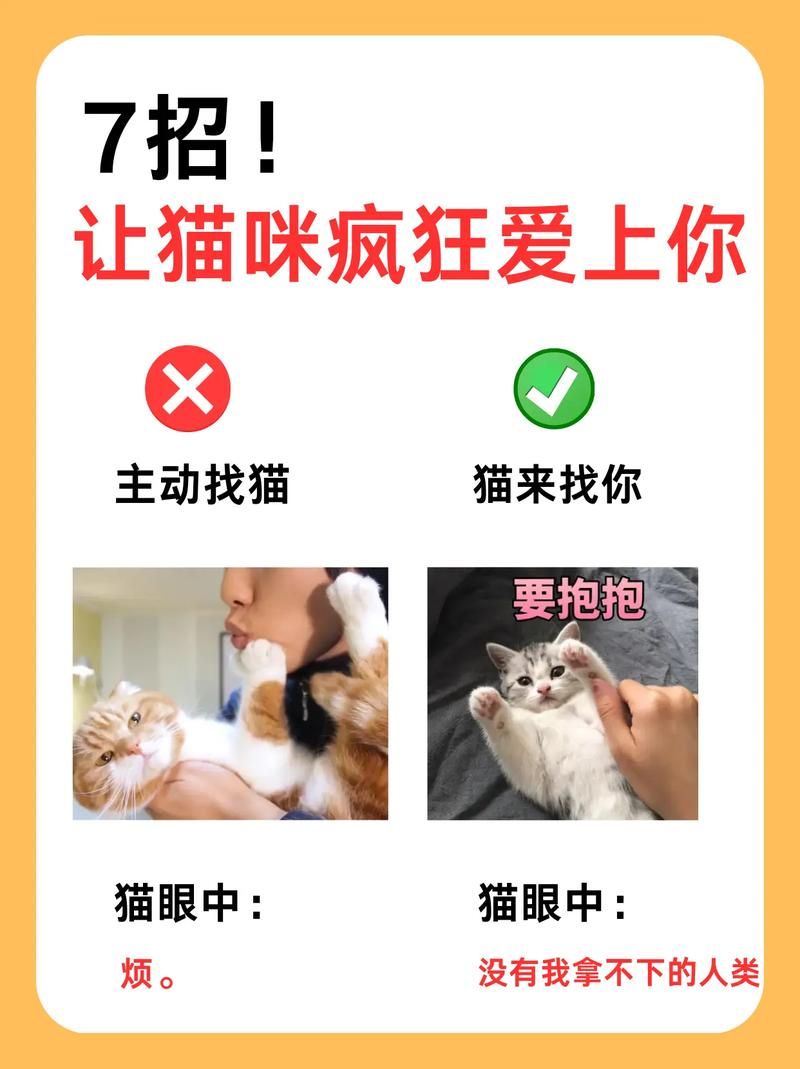 当你的猫咪最新版本有什么技巧？掌握这8招玩法更轻松！