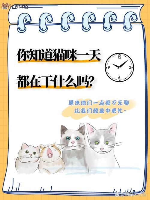 当你的猫咪汉化版下载免费平台？推荐这5个好地方！