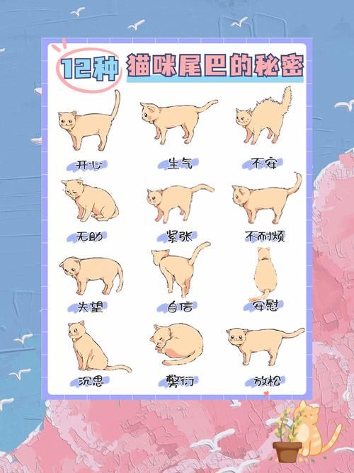 当你的猫咪汉化版下载免费平台？推荐这5个好地方！