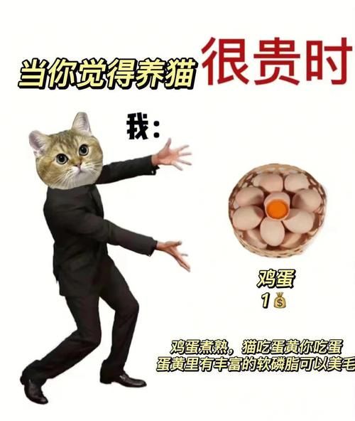 当你的猫咪汉化版下载免费平台？推荐这5个好地方！