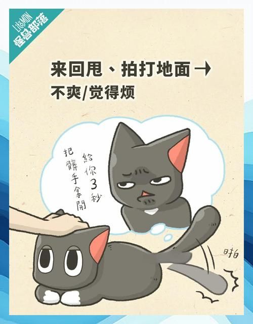 当你的猫咪汉化版更新盘点!这次有5大新内容上线啦 当你的猫咪汉化版更新盘点!这次有5大新内容上线啦