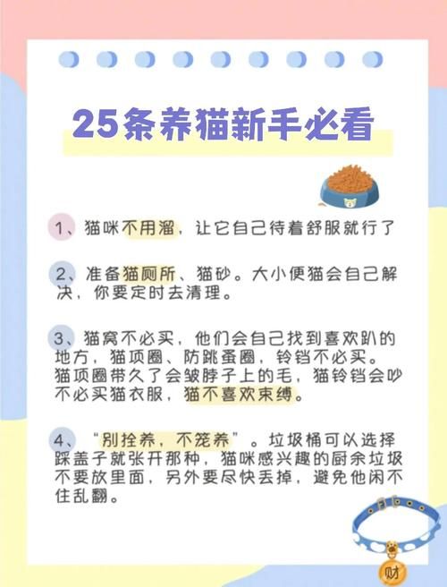 当你的猫咪版本大全怎么玩?(尝试五个趣味养猫方法) 当你的猫咪版本大全怎么玩?(尝试五个趣味养猫方法)