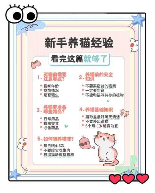 当你的猫咪版本大全怎么玩?(尝试五个趣味养猫方法) 当你的猫咪版本大全怎么玩?(尝试五个趣味养猫方法)