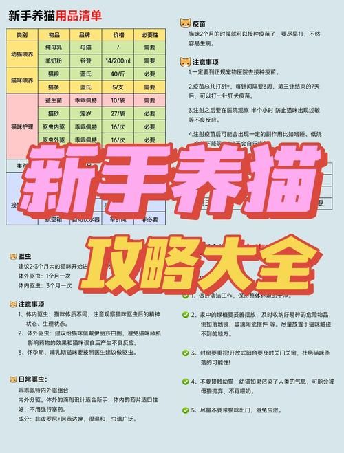 当你的猫咪版本大全怎么玩?(尝试五个趣味养猫方法) 当你的猫咪版本大全怎么玩?(尝试五个趣味养猫方法)