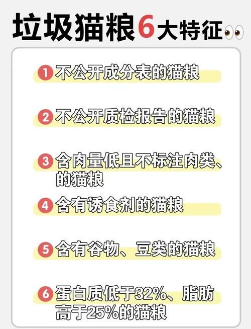 当你的猫咪结局分支怎么选?关键选项避坑指南 当你的猫咪结局分支怎么选?关键选项避坑指南