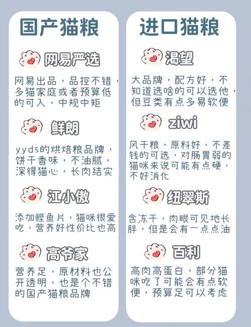 当你的猫咪结局分支怎么选?关键选项避坑指南 当你的猫咪结局分支怎么选?关键选项避坑指南