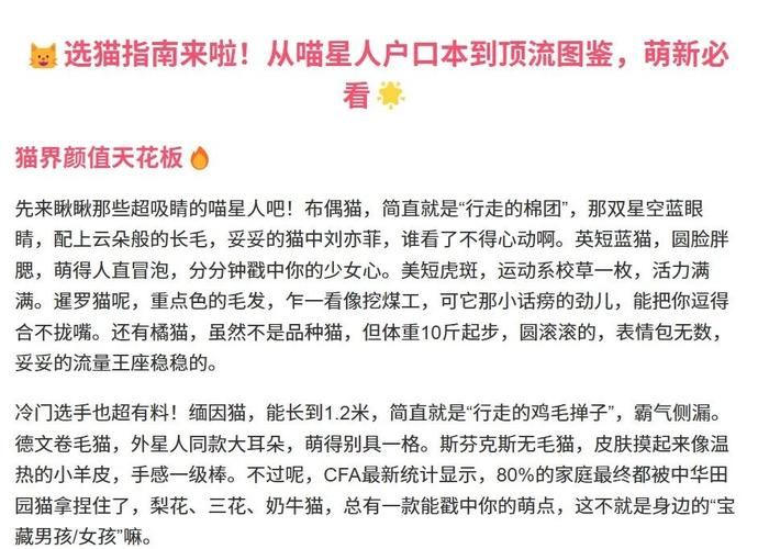 当你的猫咪结局分支怎么选?关键选项避坑指南 当你的猫咪结局分支怎么选?关键选项避坑指南