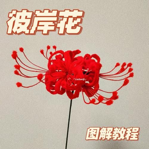 彼岸花如何下载?5步简单操作教程一学就会! 彼岸花如何下载?5步简单操作教程一学就会!