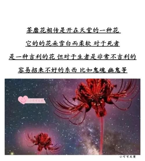 彼岸花最新版本是多少?三招教你轻松获取详情! 彼岸花最新版本是多少?三招教你轻松获取详情!