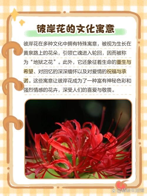 彼岸花汉化版下载地址哪里找 这三个平台亲测有效