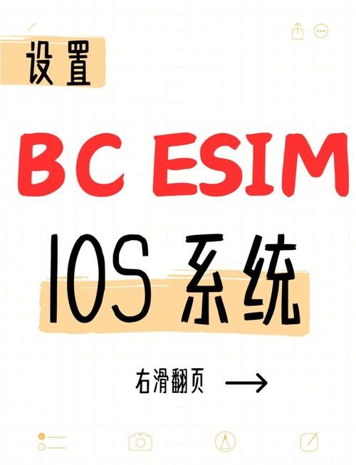 律子在哪下载新手教程？一步步教你轻松搞定安装
