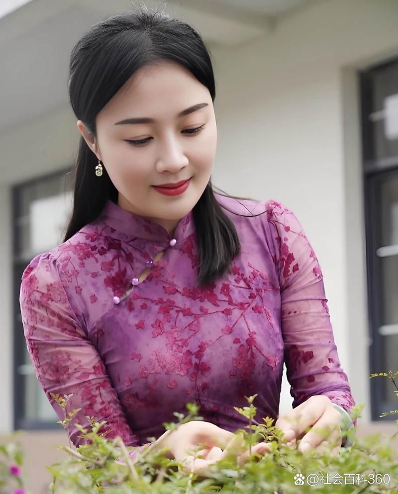 徐娘半老第二季汉化版如何下载？最新获取方法教程来了