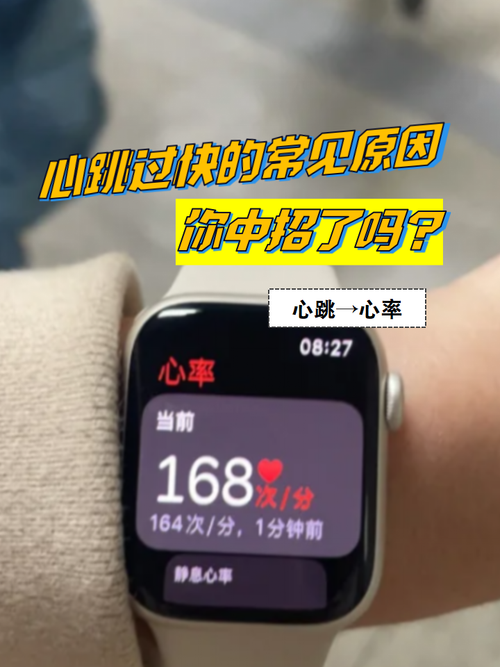 心脏问题安卓应用是什么？教你用它随时监测心跳