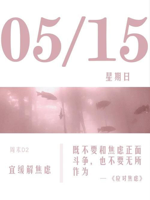 心脏问题安卓汉化效果怎么样？(老用户亲测体验分享！)