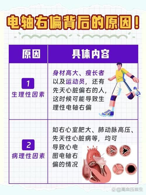 心脏问题新版更新了什么功能？(优化体验实用指南全解析)
