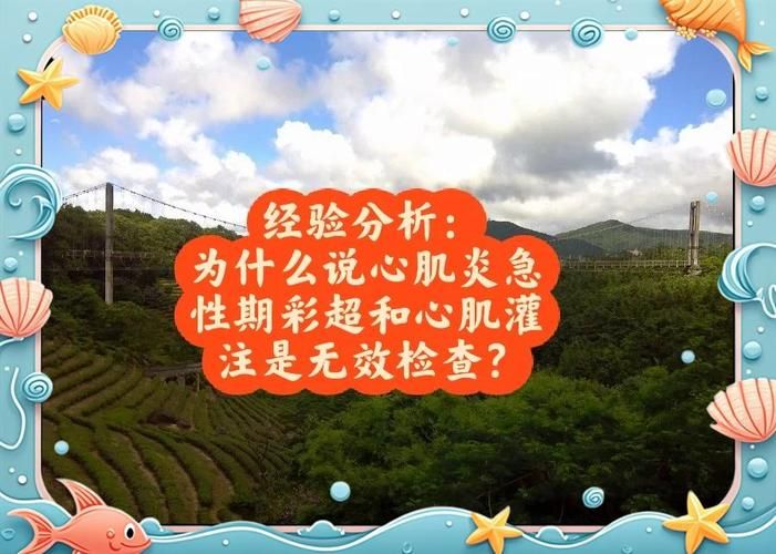 心脏问题新版更新了什么功能？(优化体验实用指南全解析)